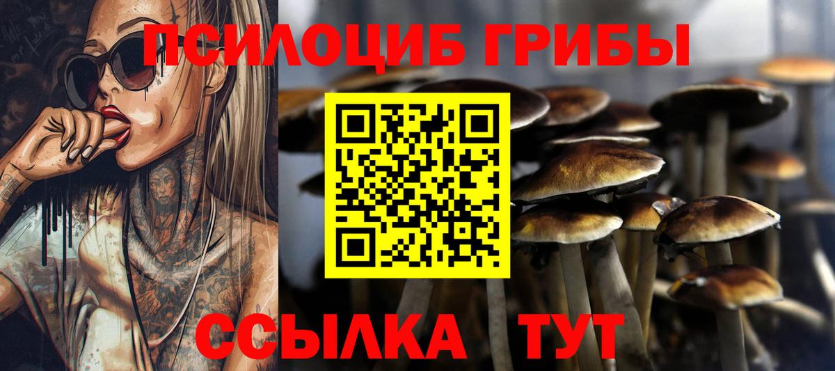 Галлюциногенные грибы Psilocybe  Галлюциногенные грибы Magic Shrooms  Дятьково  Вход с VPN 